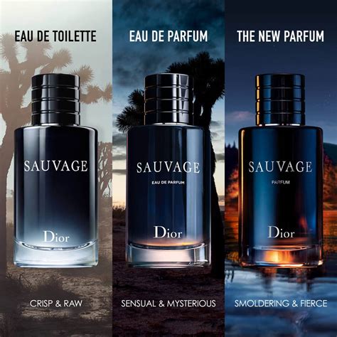 sauvage dior for ladies|sauvage Dior for women price.